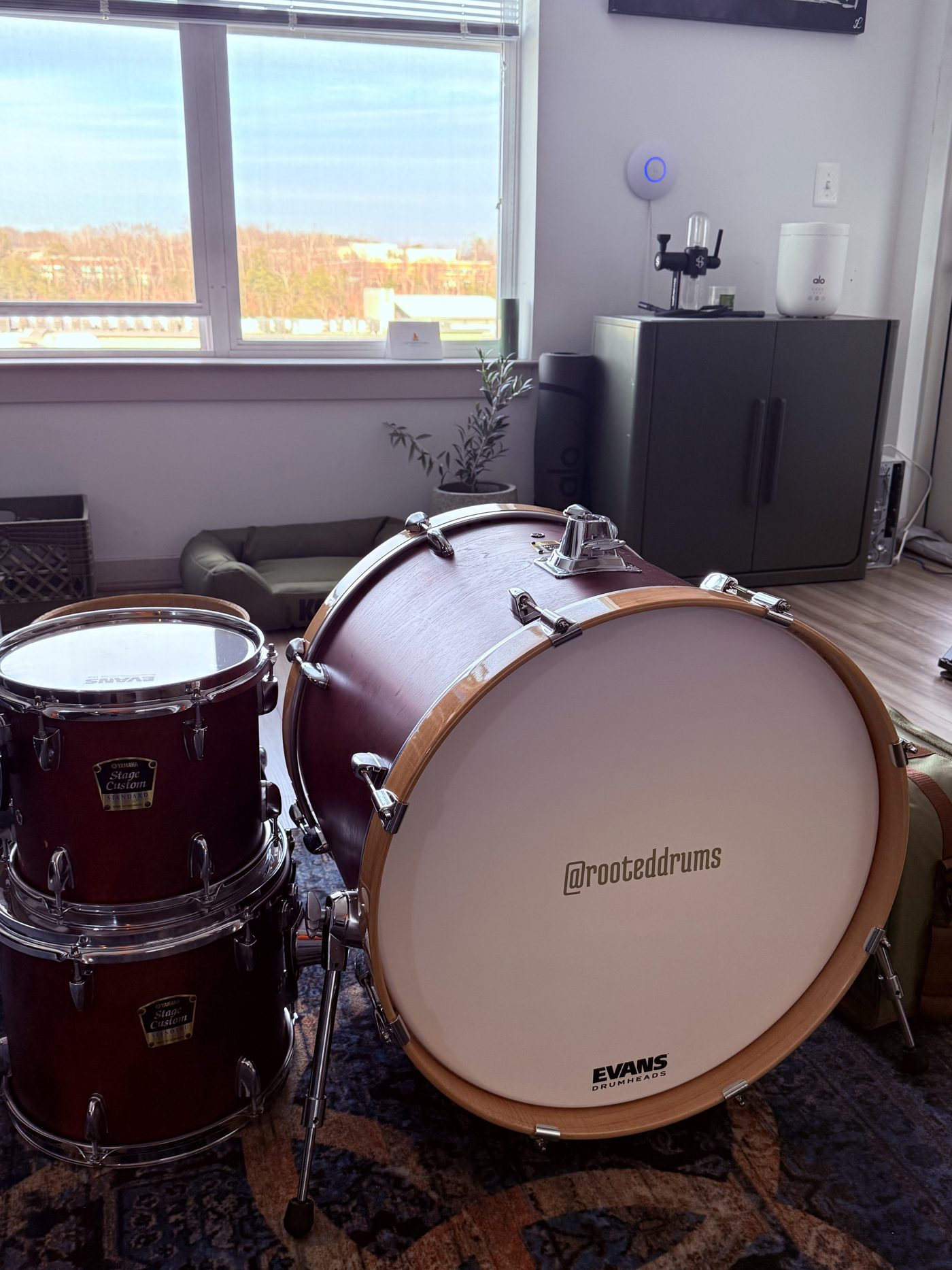 Dante Harris — at the kit